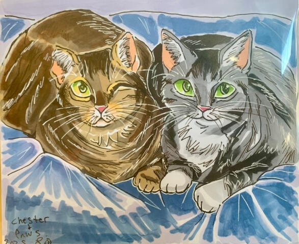 Chester and Paws